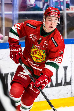 Moras Petter Vesterheim