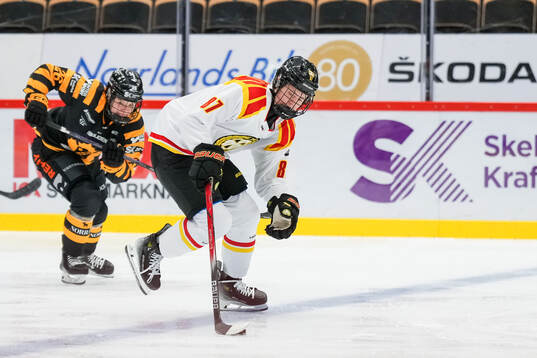 Brynäs Anna Brenkle