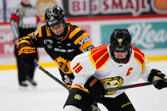 Bläddra bland fler bilder av Ishockey, SDHL, Skellefteå - Brynäs