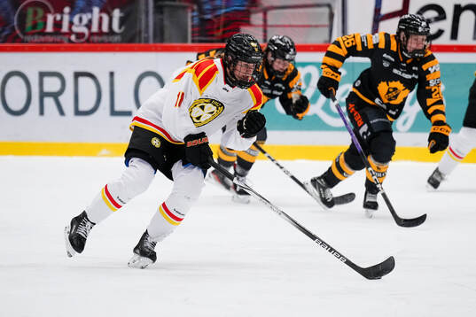 Brynäs Jenniina Nylund