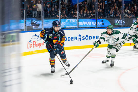 Bläddra bland fler bilder av Ishockey, Hockeyallsvenskan, Djurgården - Tingsryd