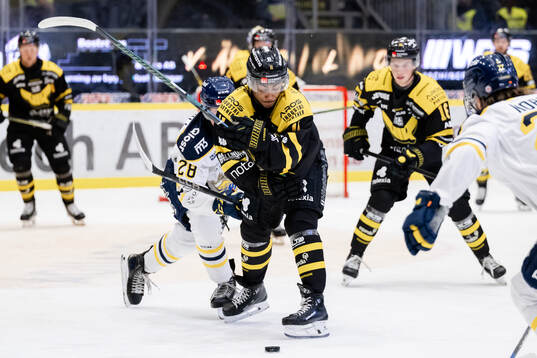 Västerås Noah Wolf