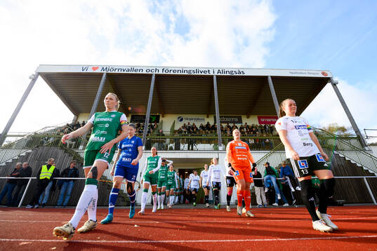 Alingsås och Mallbackens spelare