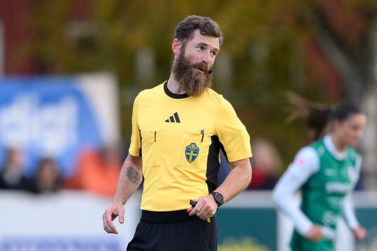 Domare Bartek Svaberg