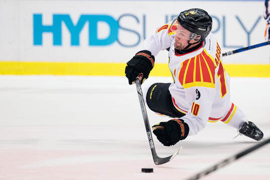 Brynäs Johan Larsson