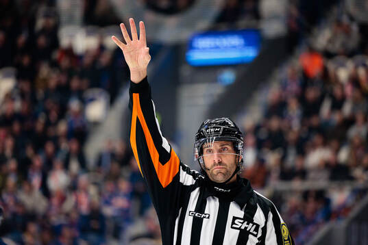 Domare Mikael Sjöqvist