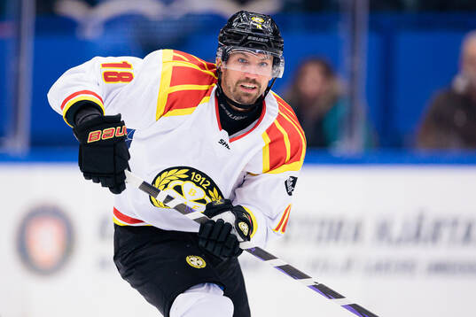 Brynäs Anton Rödin