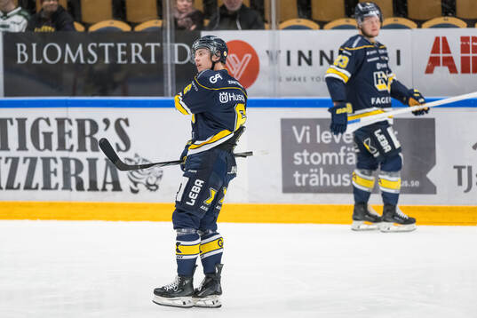 HV71s Vincent Sandberg