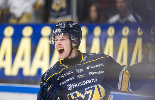 HV71s Hugo Pettersson jublar