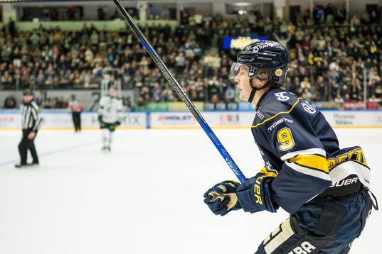 HV71s Hugo Pettersson jublar