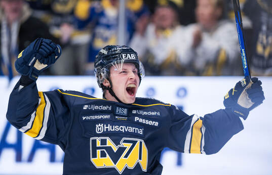 HV71s Hugo Pettersson jublar