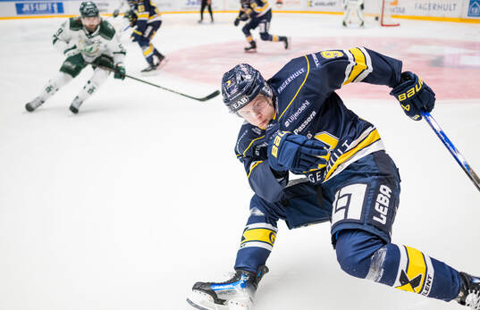 HV71s Hugo Pettersson