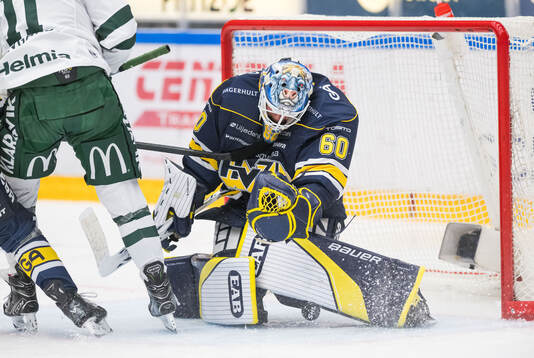HV71 och målvakt Hugo Alnefelt