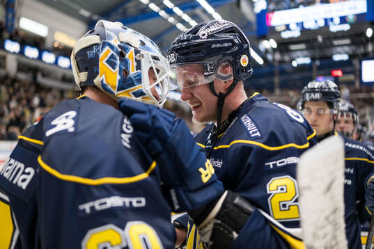 HV71s målvakt Hugo Alnefelt och Tommi Tikka jublar