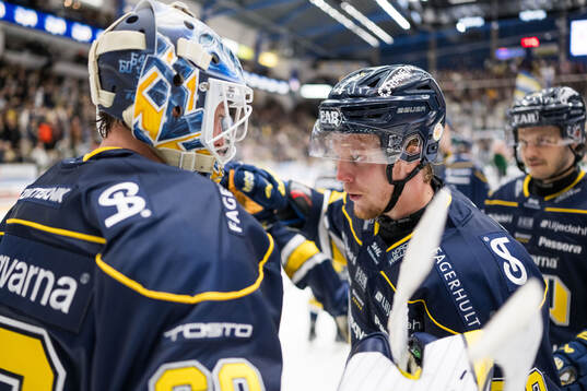 HV71s målvakt Hugo Alnefelt och Åke Stakkestad jublar