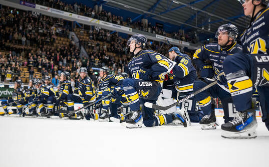 HV71s Hugo Pettersson jublar
