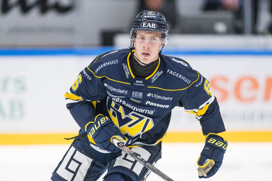 HV71s Vincent Sandberg