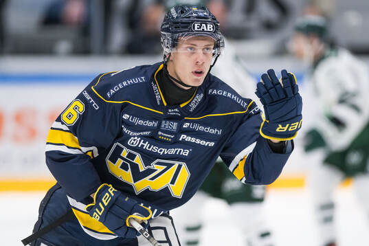 HV71s Vincent Sandberg