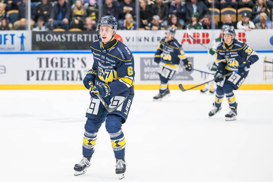 HV71s Vincent Sandberg