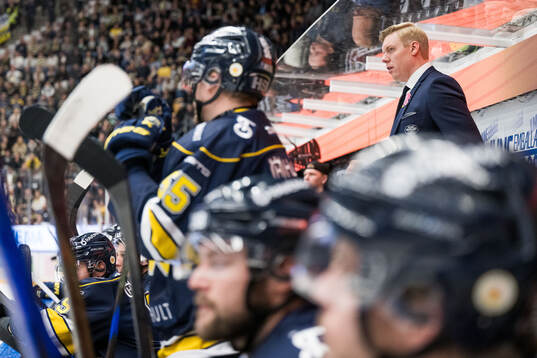 HV71s tränare Anton Blomqvist
