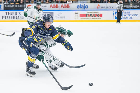 HV71s Vincent Sandberg