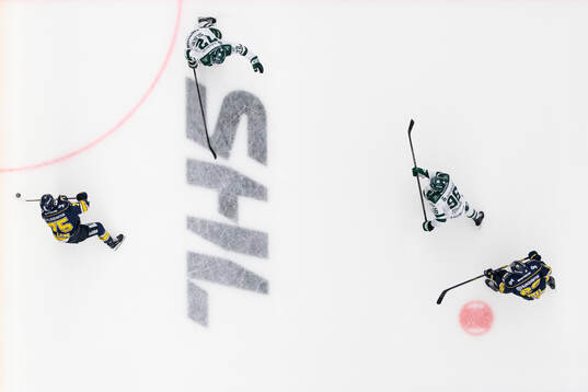 HV71s Radan Lenc och Färjestads Stian Solberg