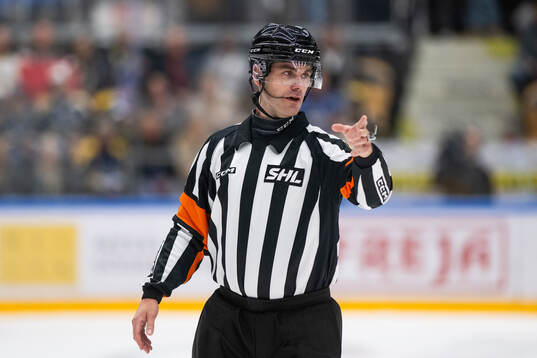 Domare Richard Magnusson