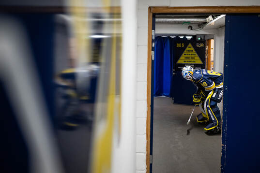 HV71s målvakt Hugo Alnefelt