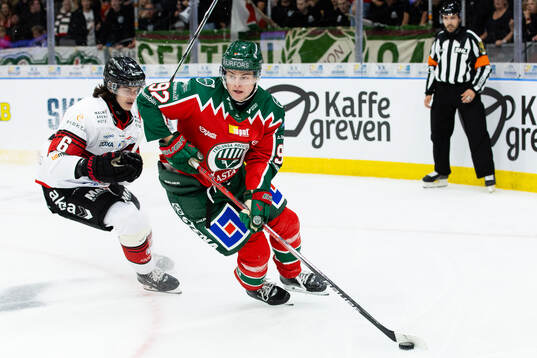Malmö Redhawks Dominik Badinka och Frölundas Filip