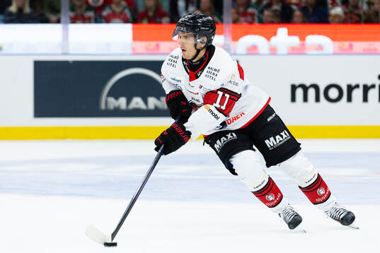 Malmö Redhawks Nikola Pasic