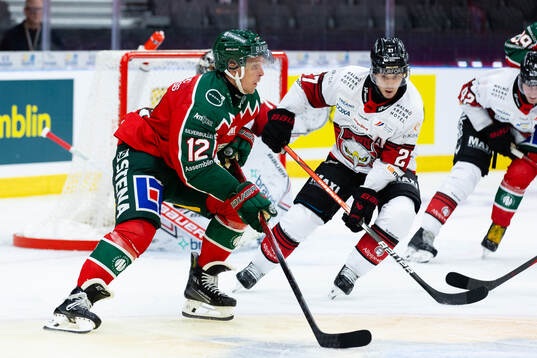 Frölundas Max Friberg