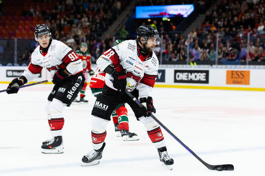 Malmö Redhawks Robin Hanzl