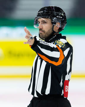 Domare Mattias Enroth