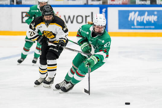 Bläddra bland fler bilder av Ishockey, DamEttan Södra, Rögle - Järnbrotts HK