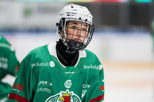 Rögles Megan Christine Holzhuter deppar
