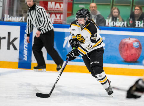 Järnbrotts Julia Skret