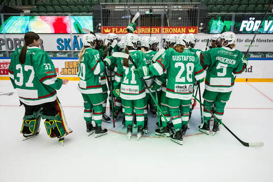 Rögle spelarna jublar