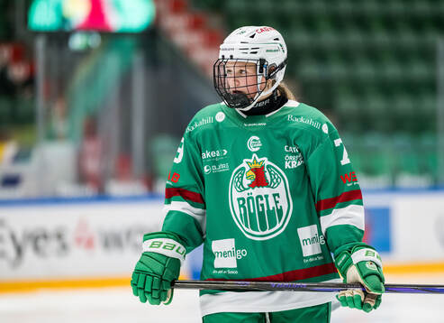 Rögles Mella Liegnell