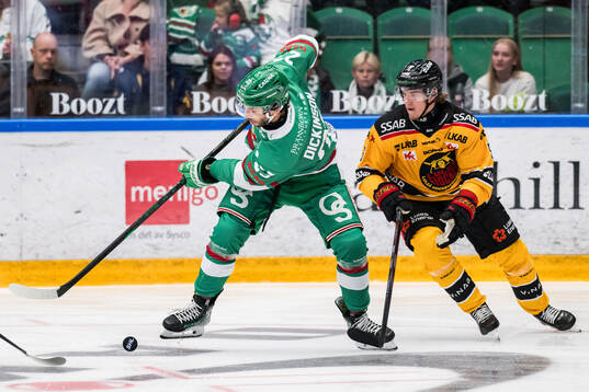 Rögles Josh Dickinson och Luleås Marcus Hardegård