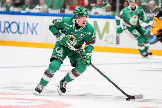 Rögles Albin Sundsvik