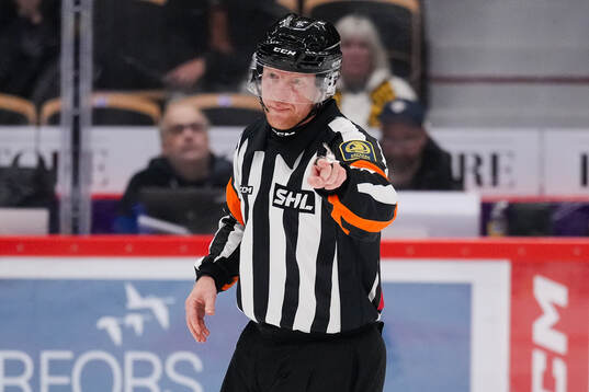 Domare Mikael Holm