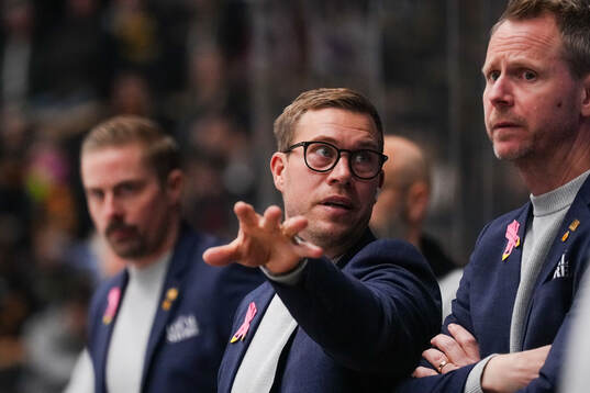 Skellefteås assisterande tränare Andreas Falk
