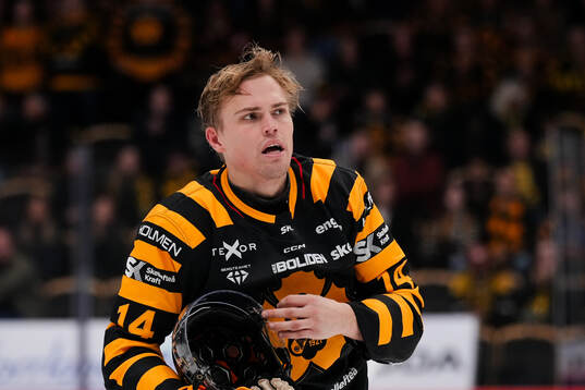 Skellefteås Andreas Johnson