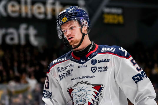 Linköpings Adam Hofbauer deppar