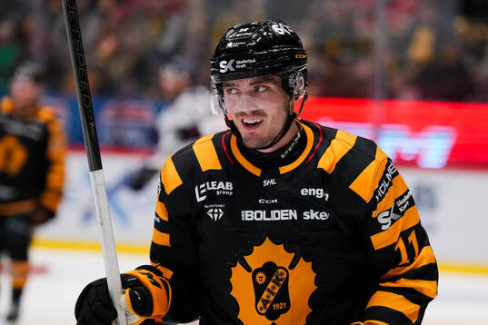 Skellefteås Max Lindholm