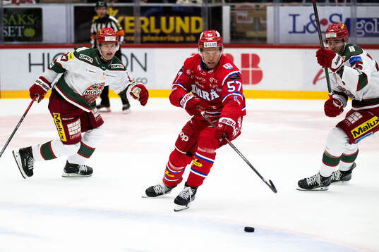 Timrås Anton Wedin