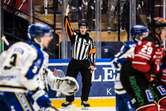 Domare Stefan Leijonklo
