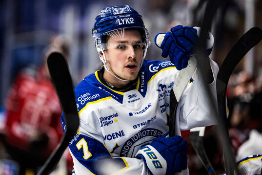 Leksands Marcus Karlberg