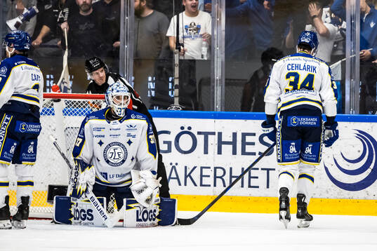 Leksands målvakt Jakob Hellsten deppar