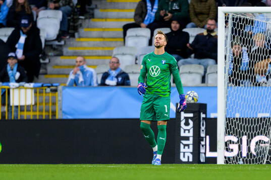 Malmö FFs Ricardo Friedrich deppar